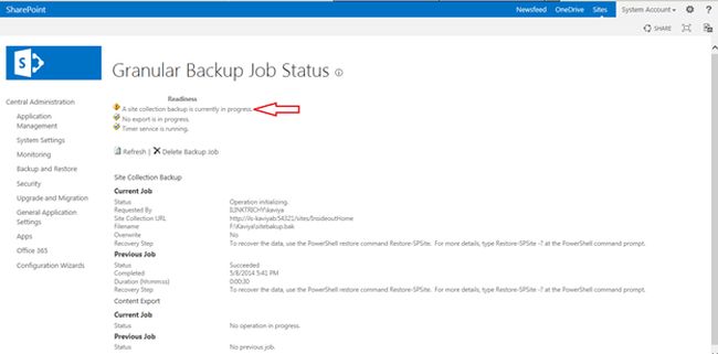 granular backup job status